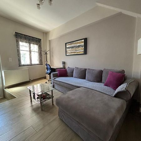 Old Town Home יואנינה מראה חיצוני תמונה